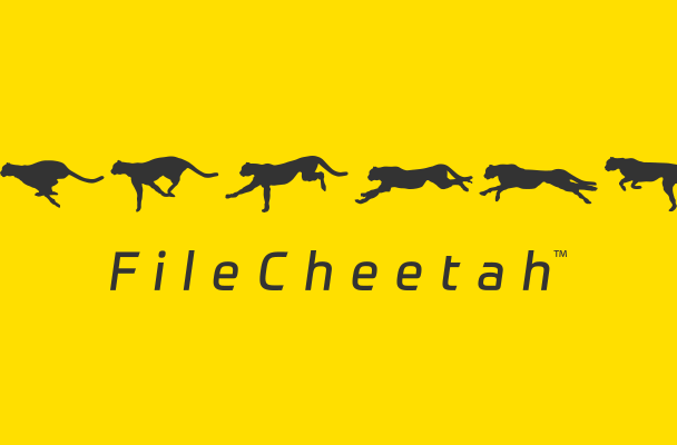 FileCheetah